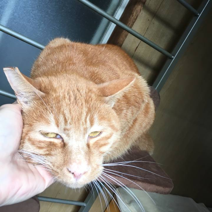 D44ad9e6 167e 4130 a27c 94f1c97b0889 1552386834955