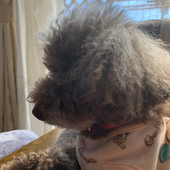 D44b216b 0ea8 4a1d 916f 7be7046b5d1d 1611723591408