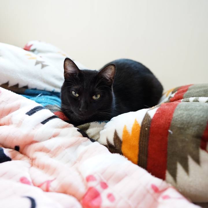 D44b7c56 0031 464d b359 42f2a0cad286 1545351323736