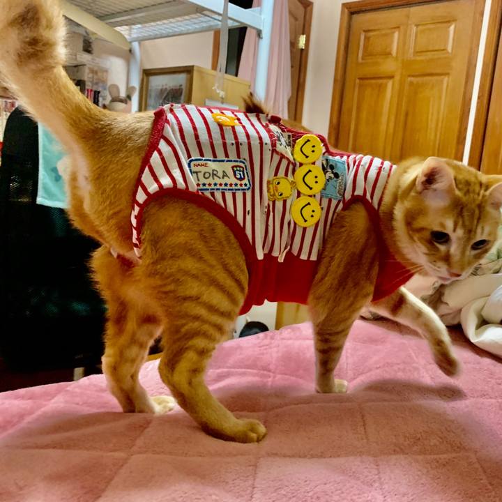 D44ba592 3214 4e9c ac4b 0db1d8f7f437 1584995250333