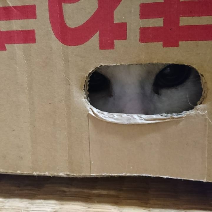 D44bb4d8 4687 4f48 81b8 e37574ce5ded 1508601475364