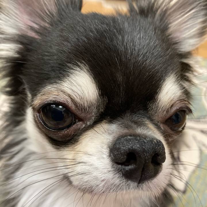 D44c4afd c42a 4c81 ac52 c235c9a699f3 1624192726421