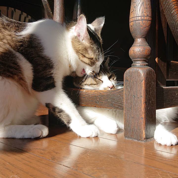 D44c50d3 fef6 47d1 b1b9 44676925f2fc 1575772347782