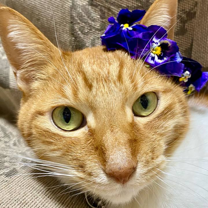 D44c61a3 9524 4787 86c2 227a9243ce9d 1775302127843