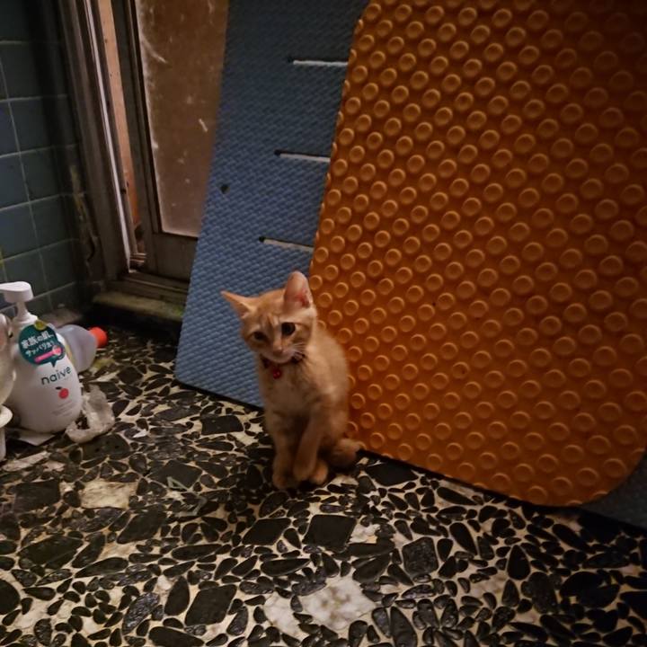 D44d0ae9 373d 4cb0 945d bdab2dfa0c16 1629890579803