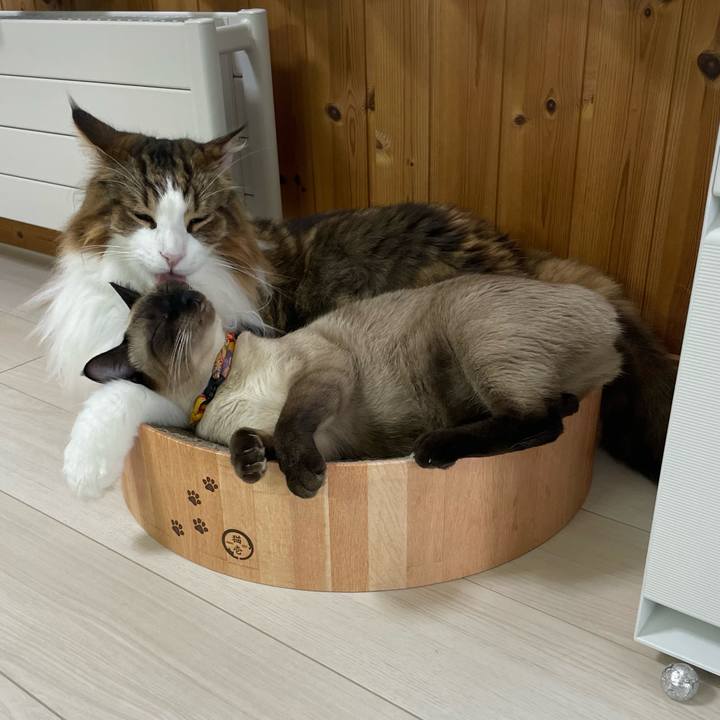 D44d1427 9c9a 4719 83e0 6732363ee6f4 1726349412527