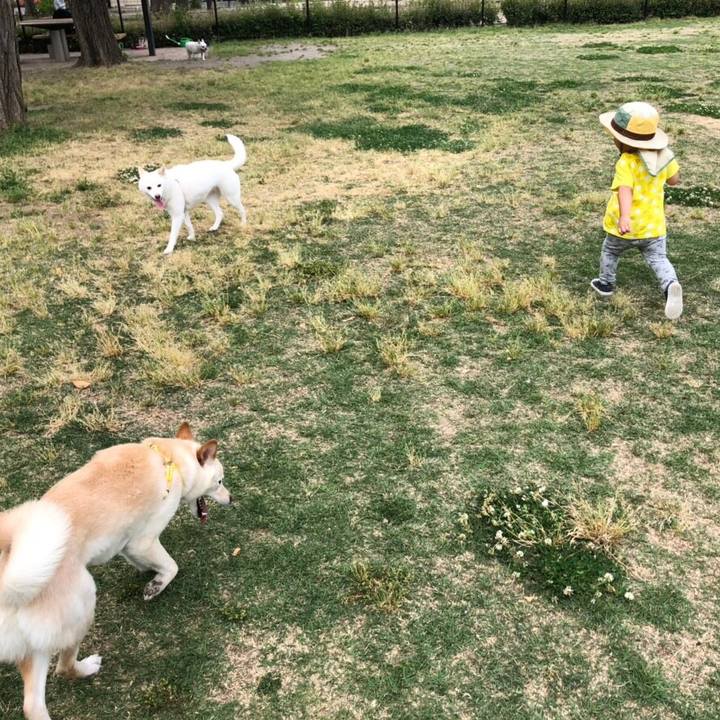 D44d7cb8 828a 41bf b699 b03bf6350659 1558250845393