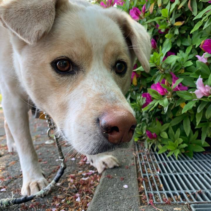 D44d82d7 89a5 4bd9 9129 8d026b35e8af 1555834449198