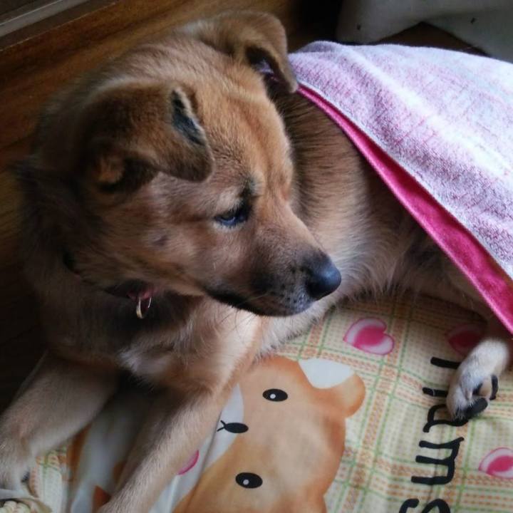 D44d9f33 e0ff 44bc a994 f20d95843d1b 1635074571834