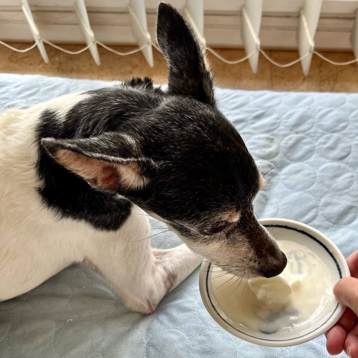 D44de795 a586 4ab1 809e 87ed8fbf3d5e 1657664439933