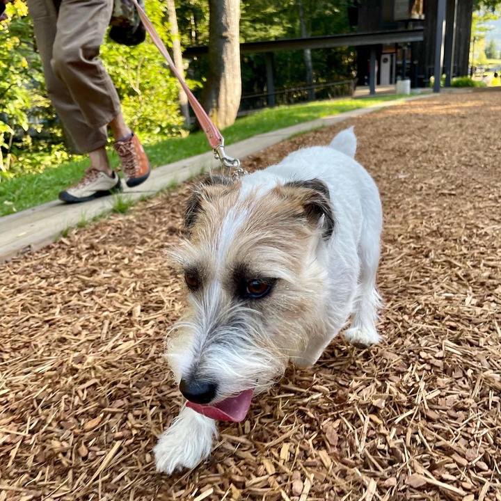 D44dea6c 5bba 4de1 9429 9cce8aed61d1 1663073673789