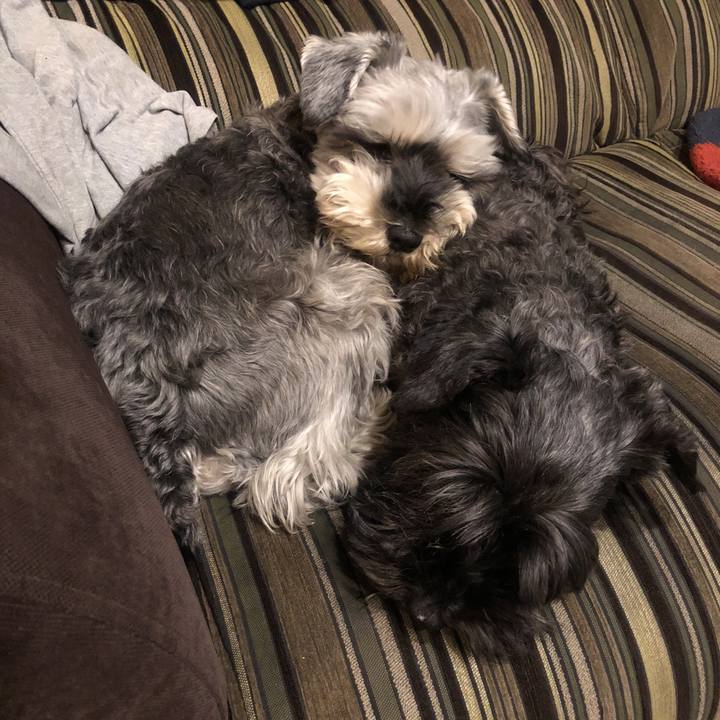 D44df329 24e2 4f56 8443 2ee618b628d6 1519127181949