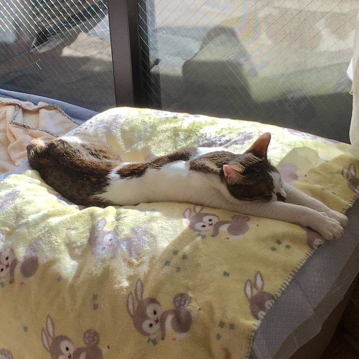 D44df77f 269c 4bb9 81ed 0b741a5fbf30 1580288658961