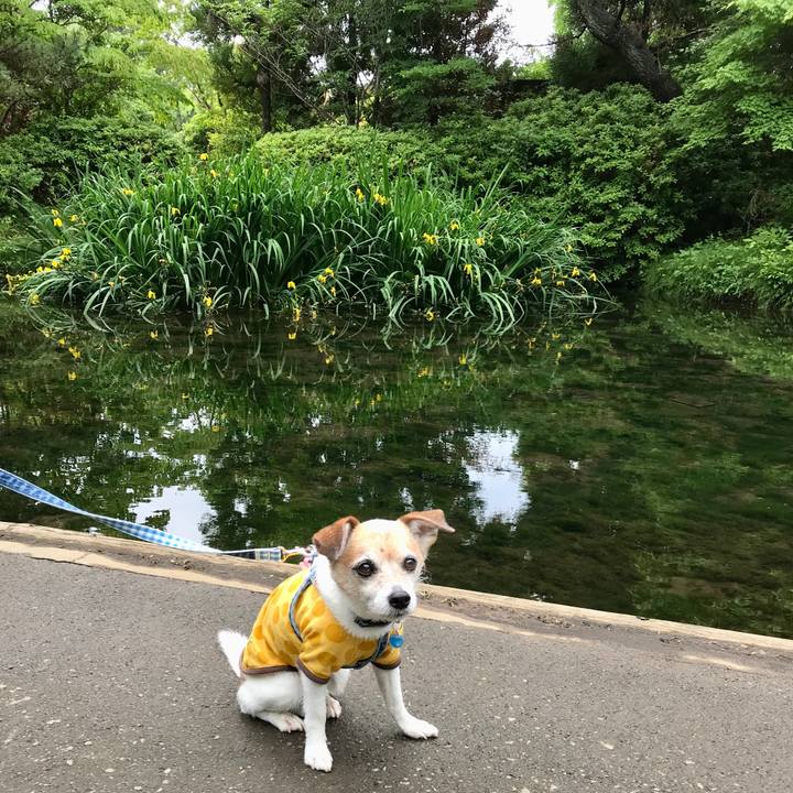 D44e10f0 338a 4782 9f6a 728a46fbd412 1652521806939