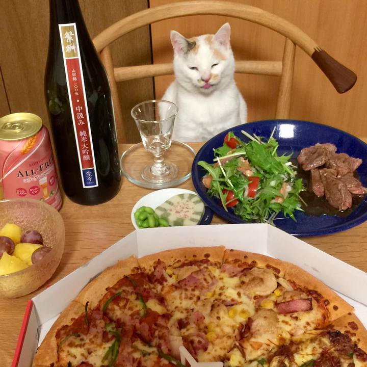 D44e20f6 9052 4c61 a37e 78e6f297af49 1513505383721