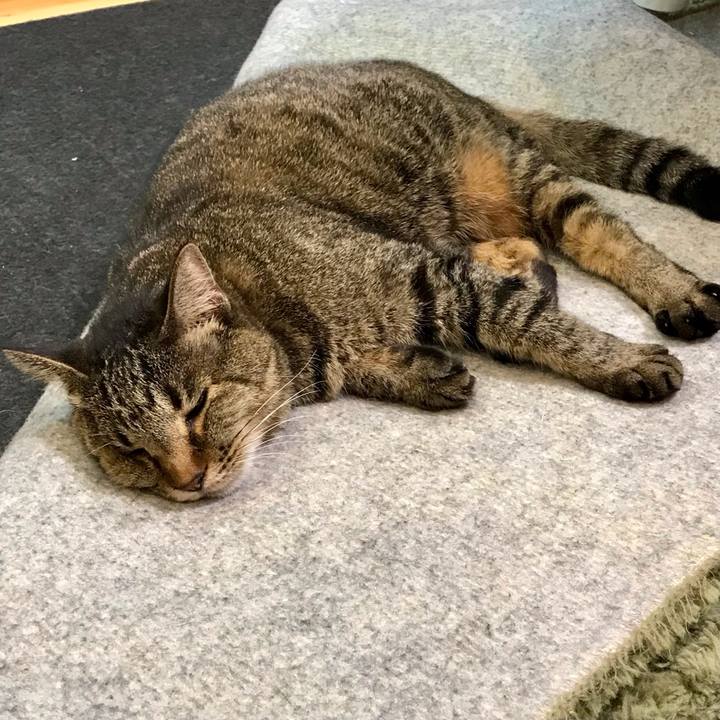 D44e4109 93f5 4d02 9a42 288d72e040d0 1628917771241