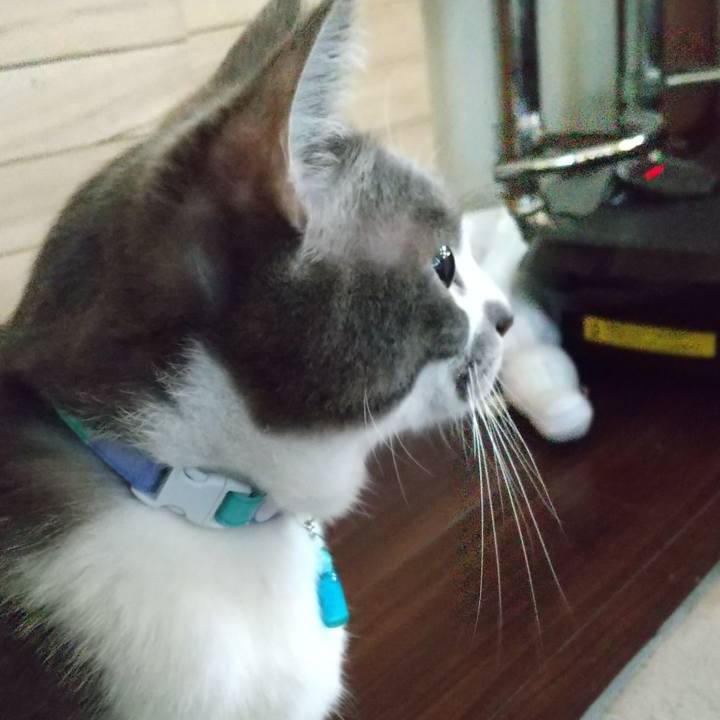 D44e91ff d9c3 4d53 be46 ccc12ebd2bd7 1618782833040