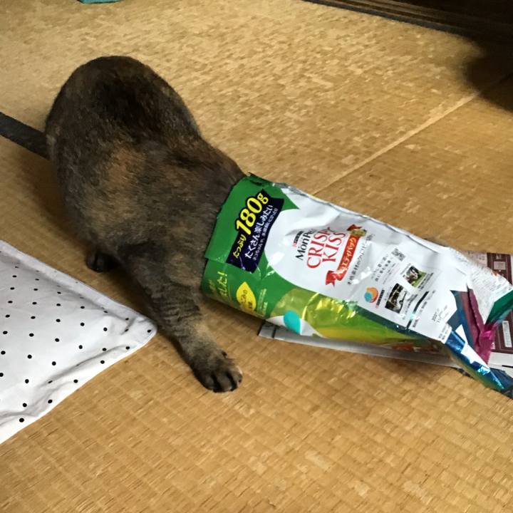 D44e9386 2b0c 43d3 912b 9767f8527684 1629350303883