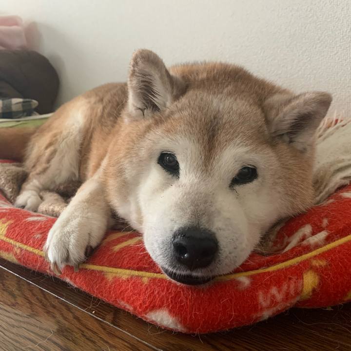 D44ea418 85b5 4228 addd e5da5a439cf9 1685836937390