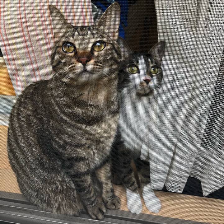 D44eaeba 3598 484c bb48 01d230689cc1 1516077228071