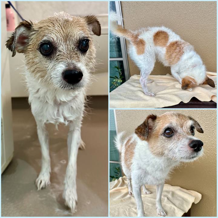 D44ef99e b2e0 465a 8393 8002c9cb364d 1695859203352