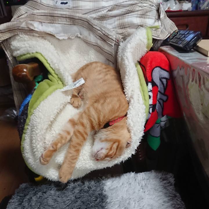 D44f06d3 4e00 4c9d a432 63d0aced7a77 1633913140736