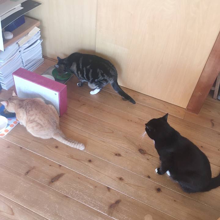 D44f1ca8 9439 4d5f 98e7 8d48adf71cbd 1582070842984