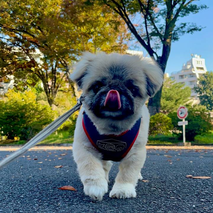 D44f3c27 de26 4a90 971d 8a8c263096f6 1762128656998