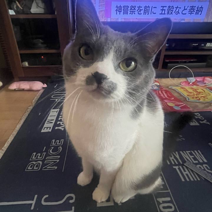 D44f49dc d6d2 4cc8 b7a2 ddd4c3119f9e 1696734429486