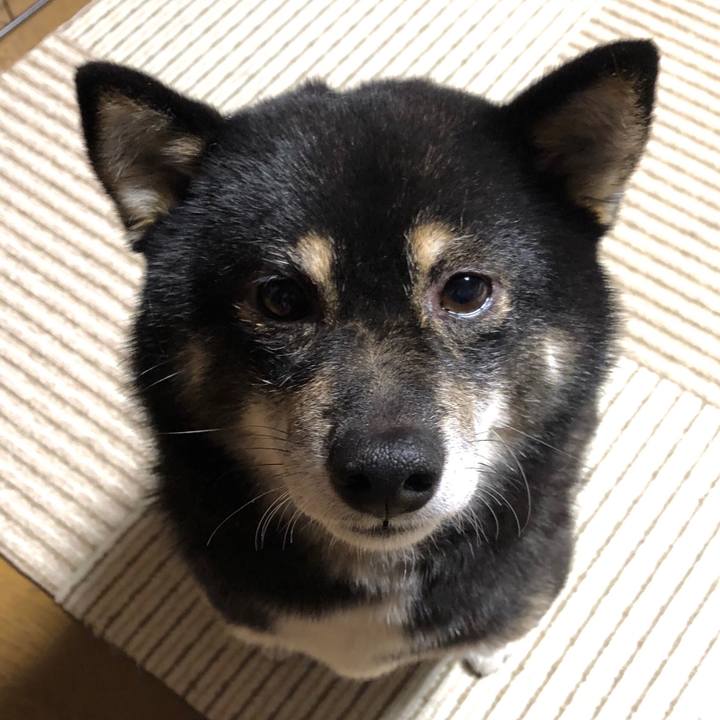 D44f5968 7c59 4900 ad5a 01e9ed0edcd7 1542711280921