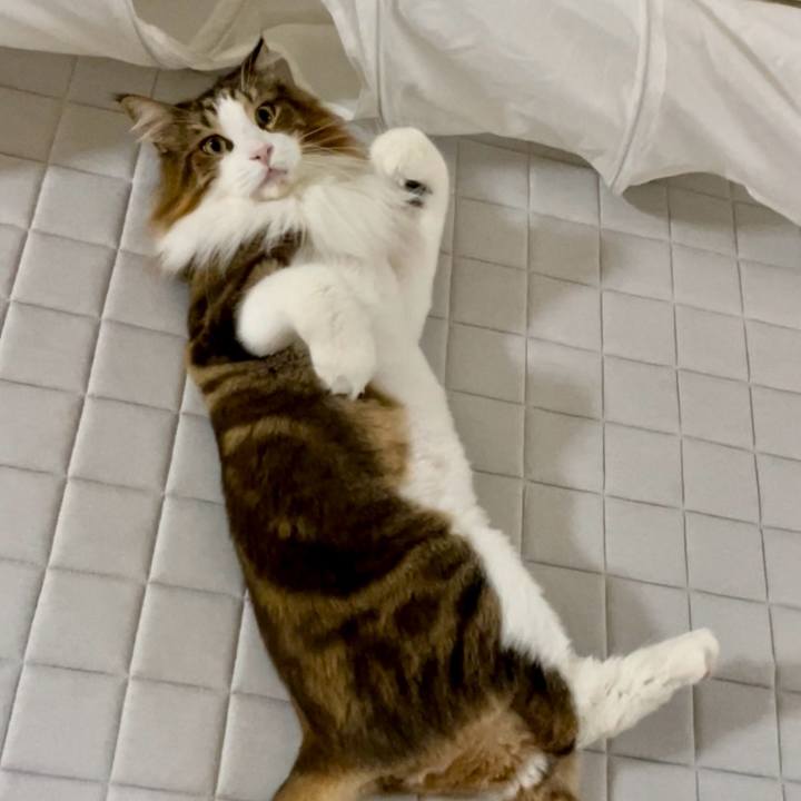 D44f7bac ceb5 4fc9 bbbb 023c8d192ef6 1722195948247