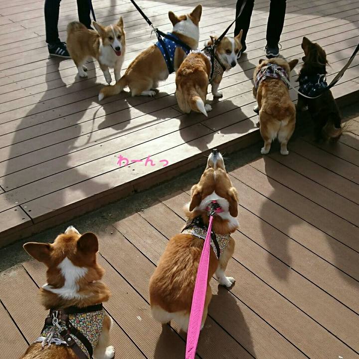 D44f9d71 0f47 4a29 94a2 71f9d152ba05 1549586192633