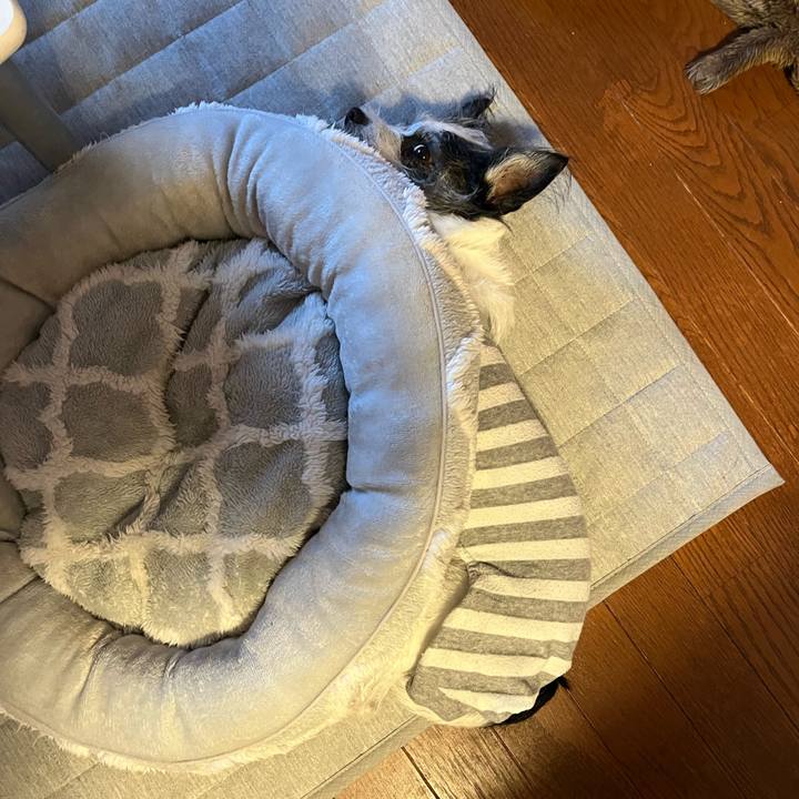 D44fadb6 eb26 4cc7 8a7b 5012bb228d98 1736513517030