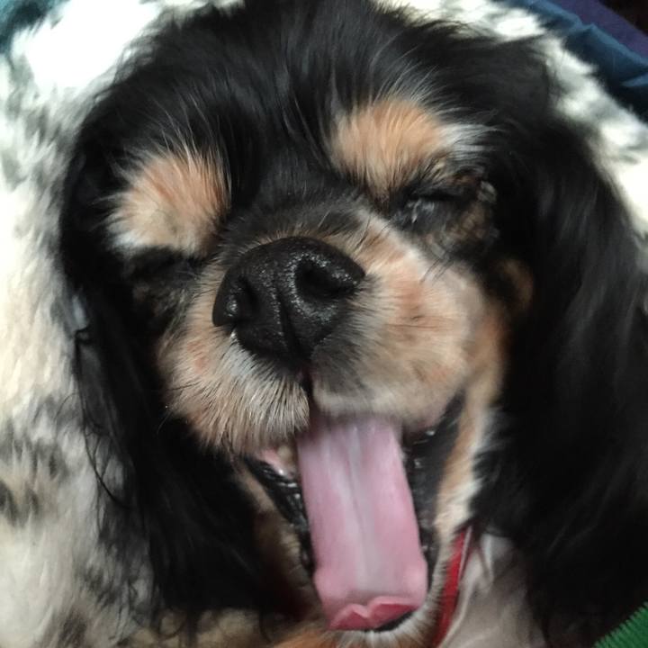 D44fd423 730d 4ca8 b2bc 5469986cf09b 1525092455212