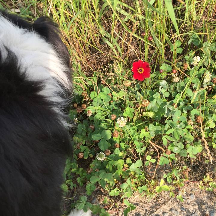 D44fdcde e01f 45e6 8e46 3a8de244d236 1560901454938