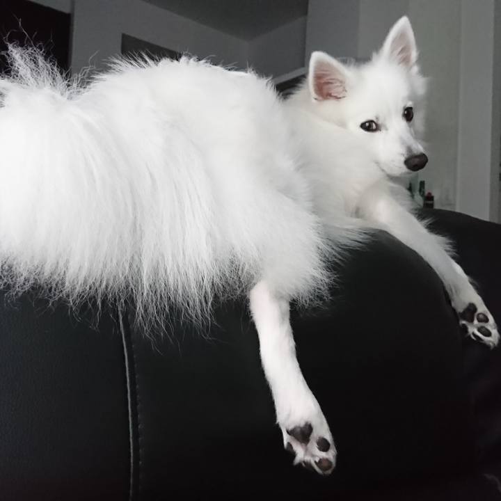 D44fe0f0 9ca0 4f0b 9f1b ff7f7be191b1 1536904311427