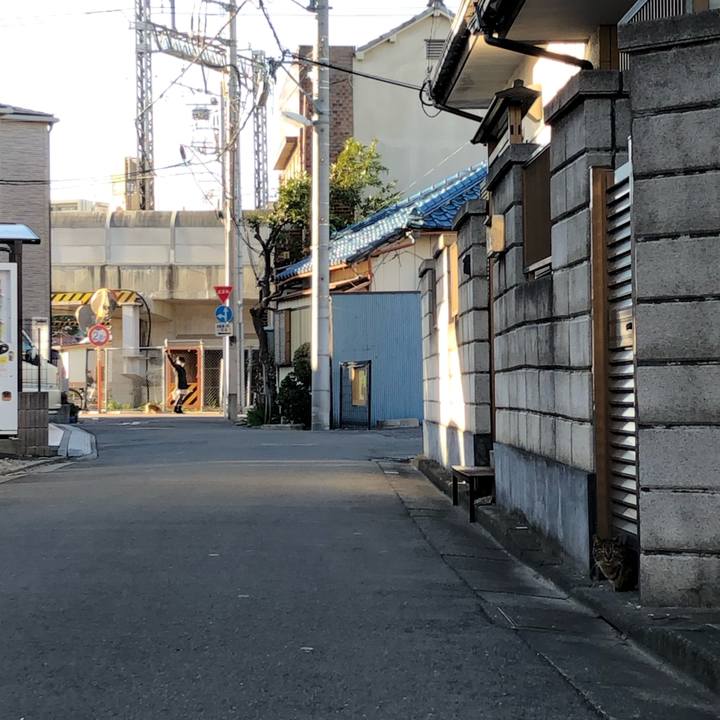 D45038d9 5e5d 4471 8d6c 932e4ed71ebd 1547987396832