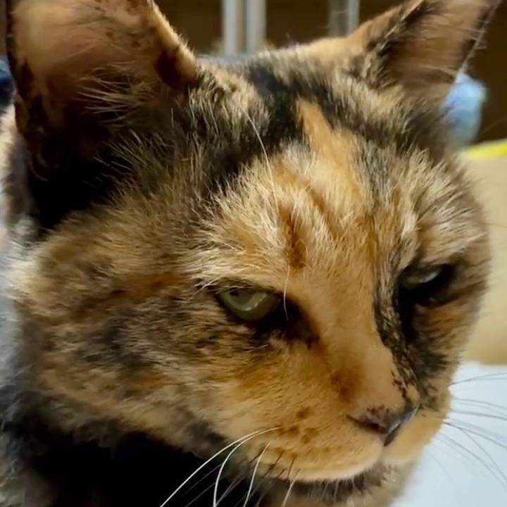 D45043ed 0c83 4357 8c31 f6eb1f790113 1752111980373