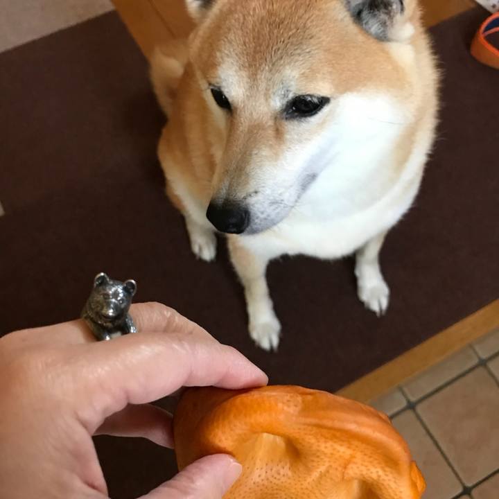 D4504a39 813a 4f0a 8f2f 37e55a832a80 1508927408779