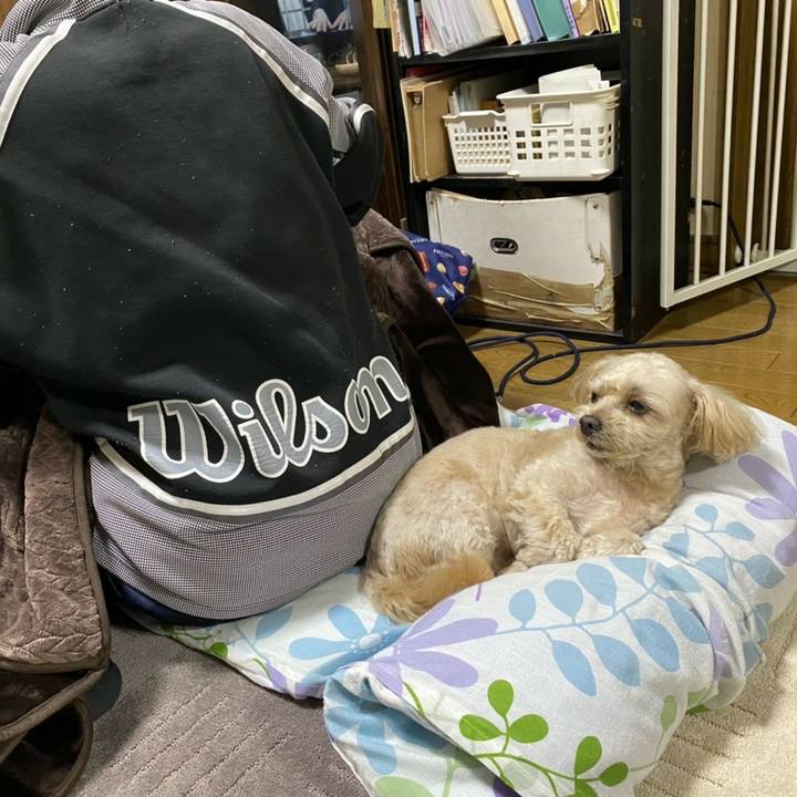 D4504bd6 92e9 4a1b 8009 12adf260e89a 1604923194100