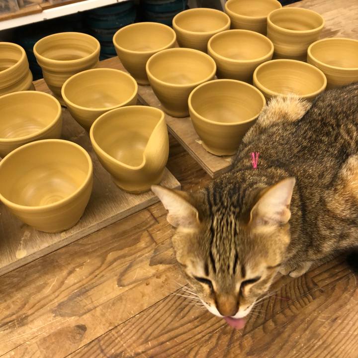 D4505698 d4c1 488b a6a2 d9a7b4ff2d5f 1613737264944