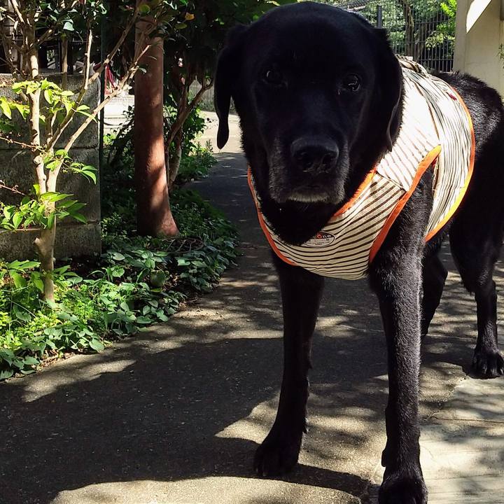 D450623c 7240 4793 bc6a 749905046acd 1694323376458