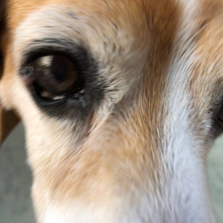 D4508517 fa03 4e66 8039 db60f79ce9f0 1558182601909