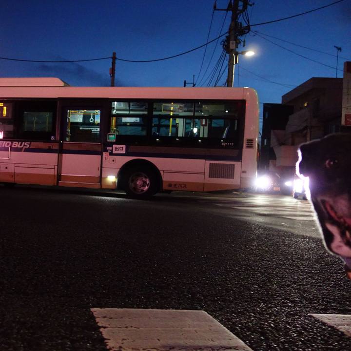 D4508c22 ce36 4903 934f f1534d352dcc 1752836863261