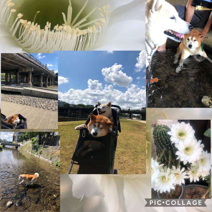 D450ae9c 41d4 4110 b418 db916f9bc6b5 1598835711196