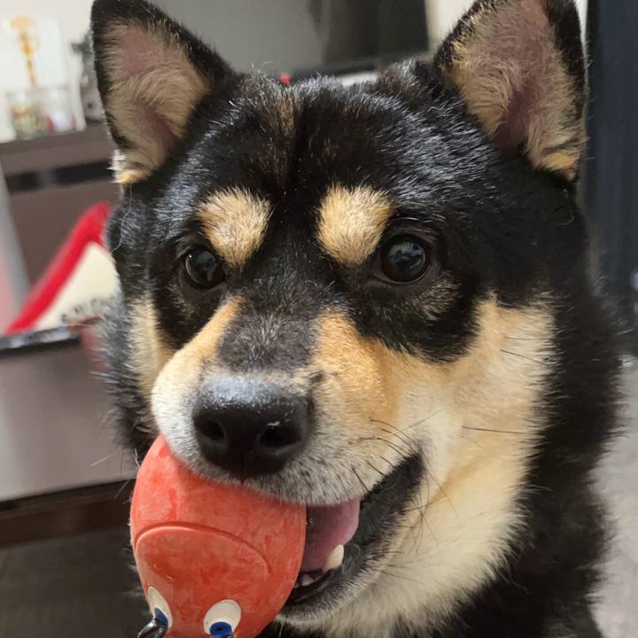 D450aff7 58c9 41a0 9ee1 61d5a095d0f9 1753350072724