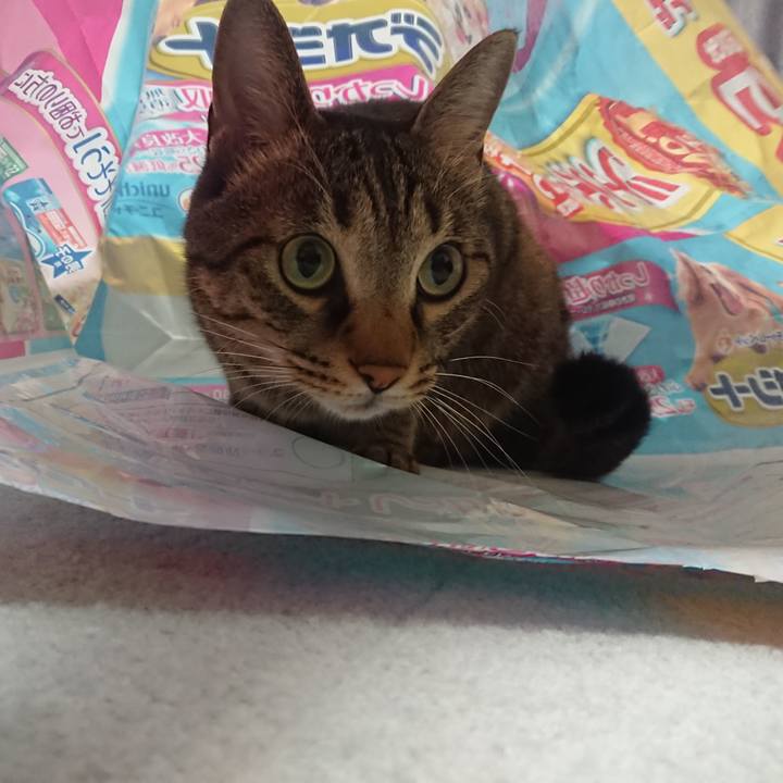 D450db7f 61bd 401d 9319 61e2f4e903fb 1566398690803