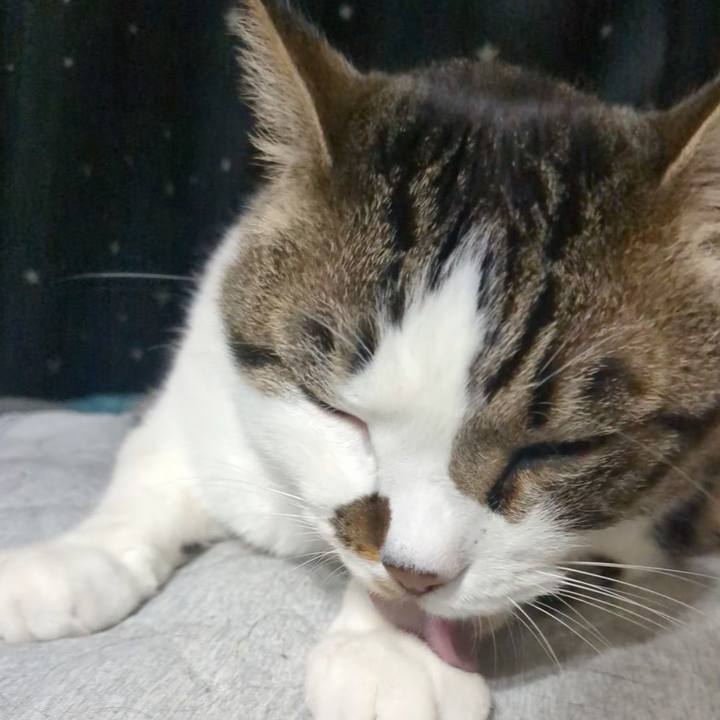 D450dc7d 9c37 4de0 ab65 1c71c2b19f6c 1748783280861