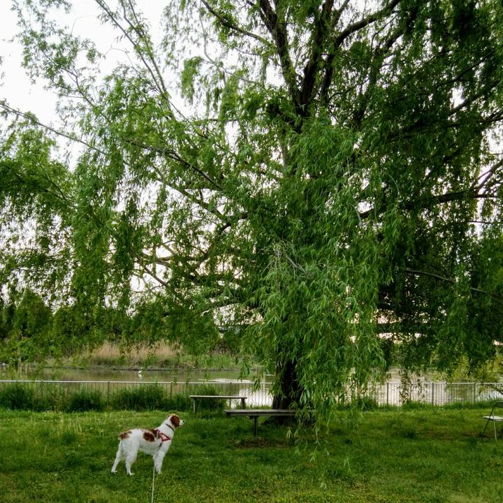 D4510d94 7f9d 477b b7b1 80199499817d 1556193723893