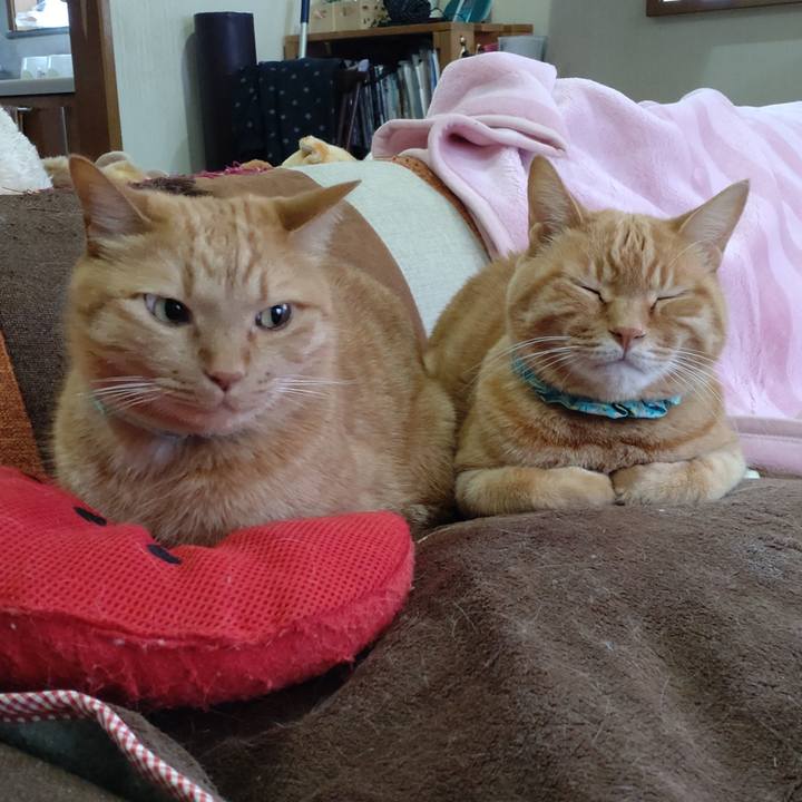 D4515757 88bc 42ea a565 82644d5269ed 1742106278454